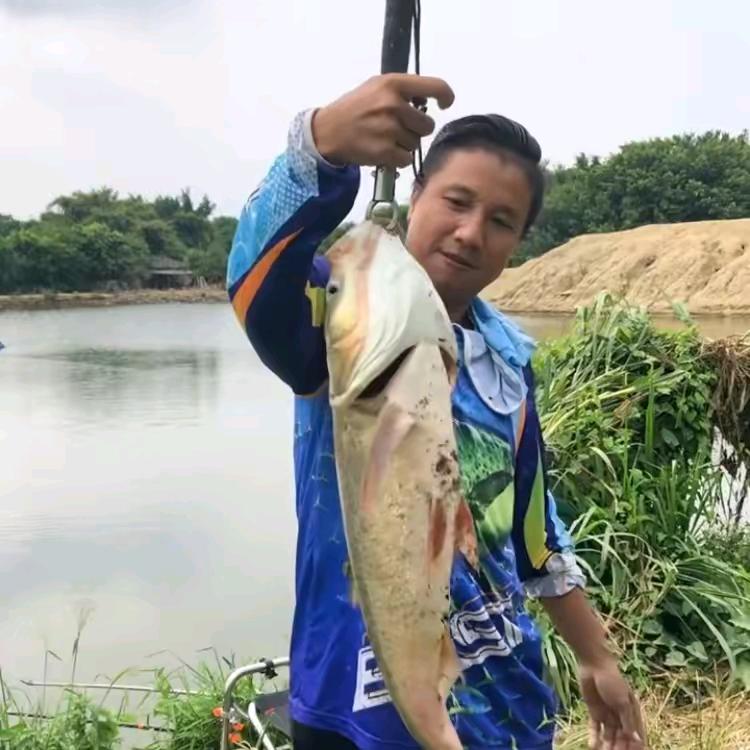 小陈来钓鱼