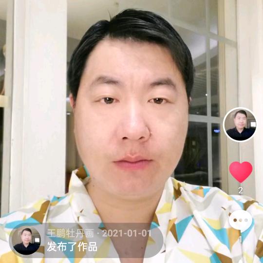 王鹏牡丹画
