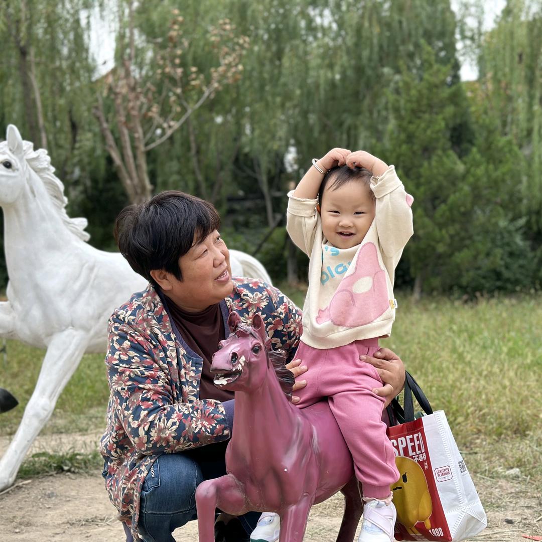 高青君乐宝