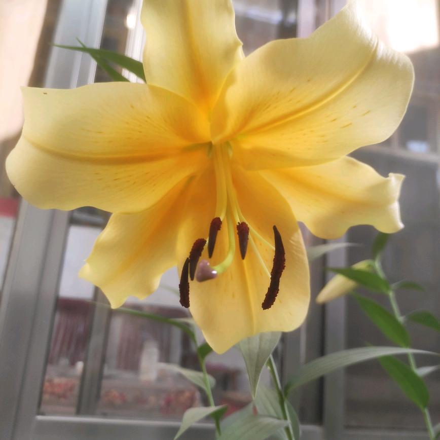 🌸幸福🌺🌺杨溢🌸