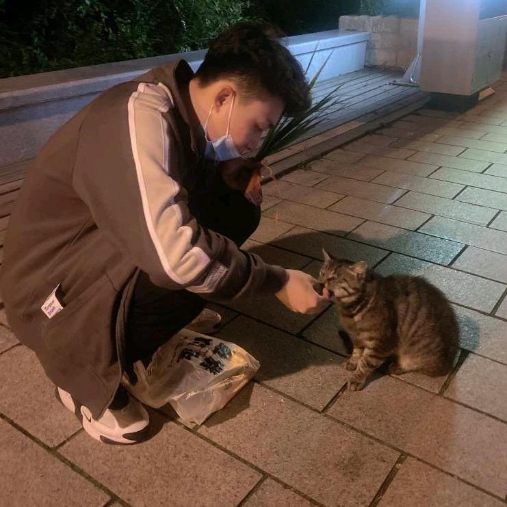 金辉哈拉少