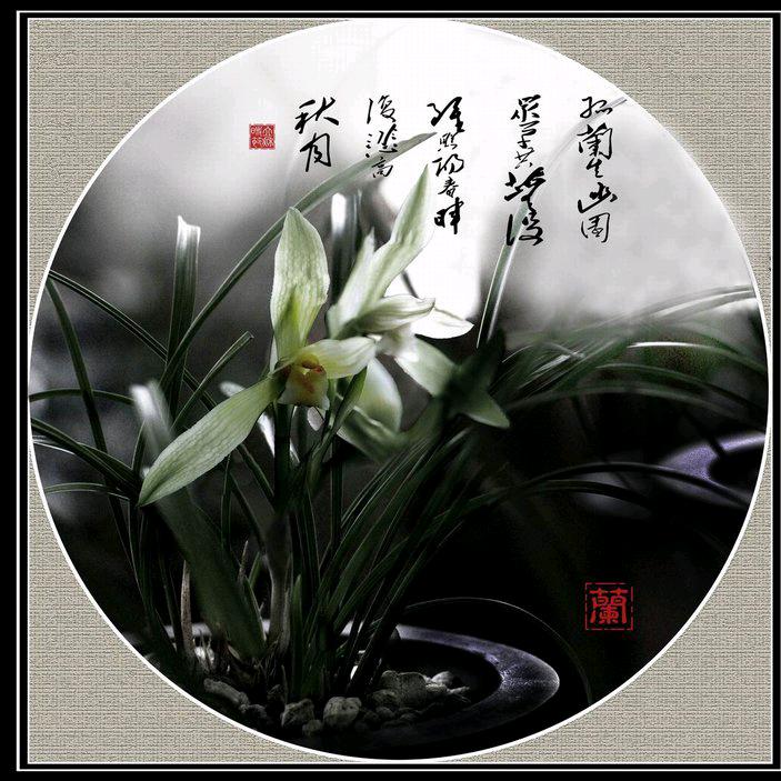 香兰幽谷幽兰香