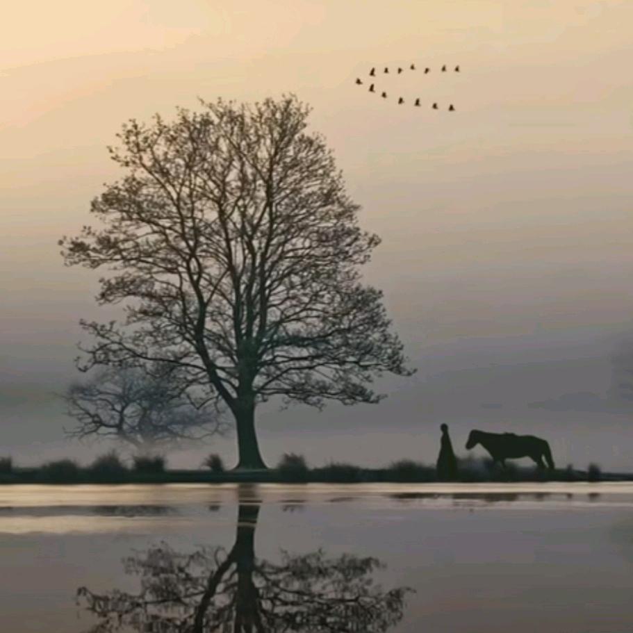 吉星高照:孙德军