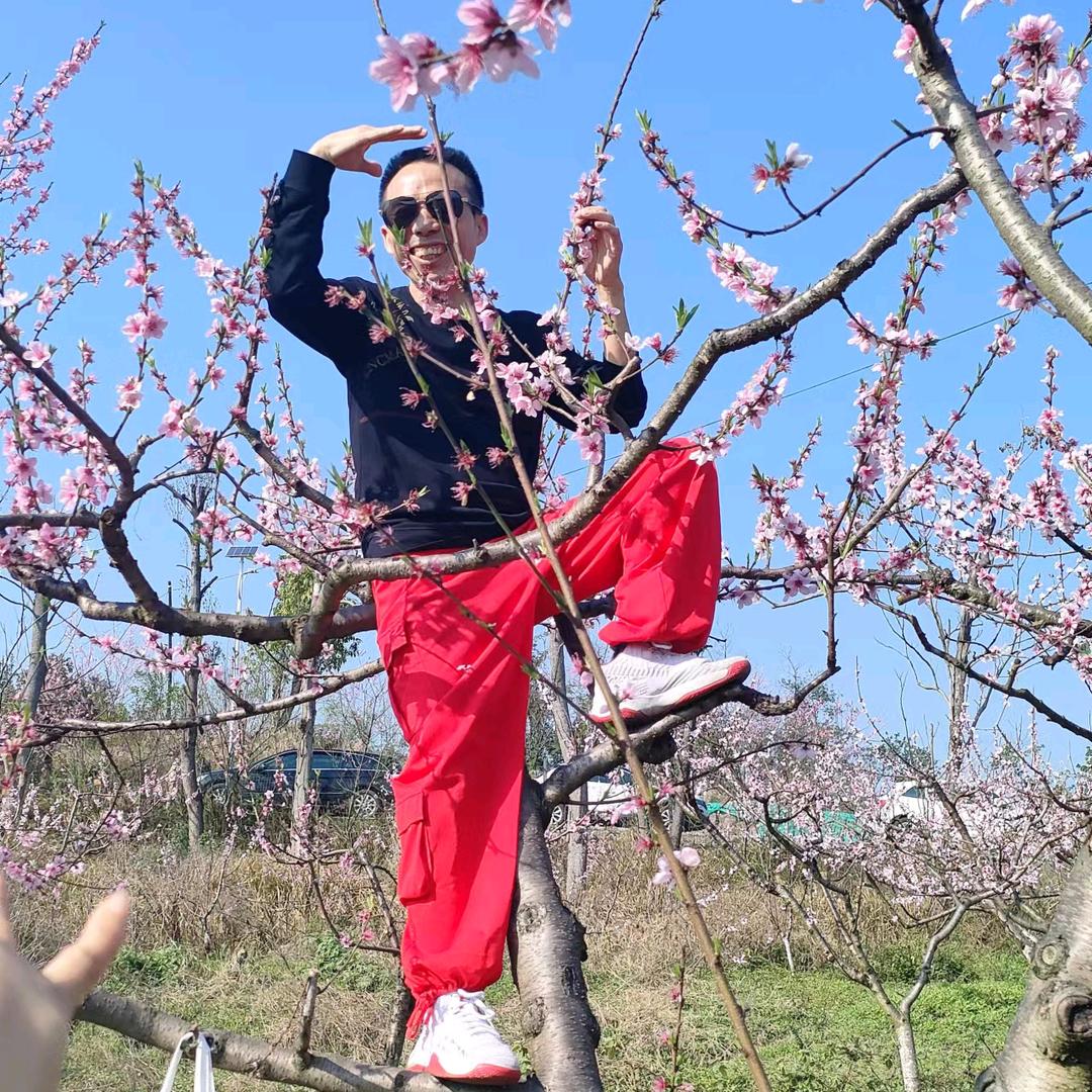 曳舞爱好汪汪队