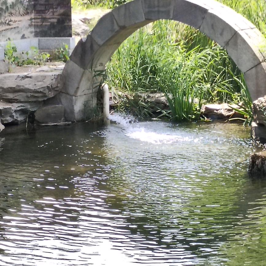 八戒②上汽车-这个行业