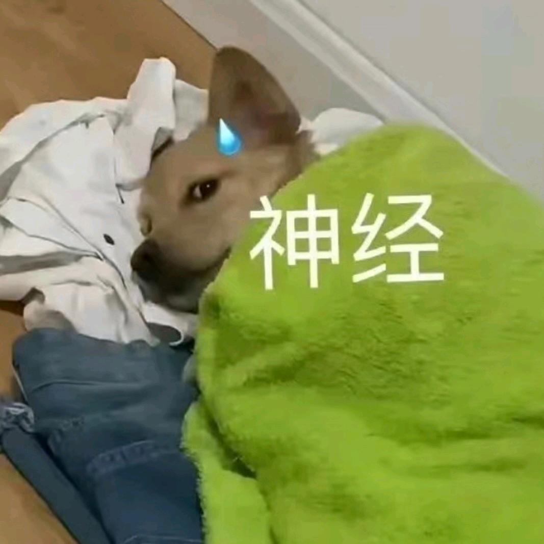 长翅膀的薛定谔（减肥版）