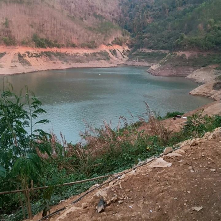 伍湖四海保忠久九欢迎您