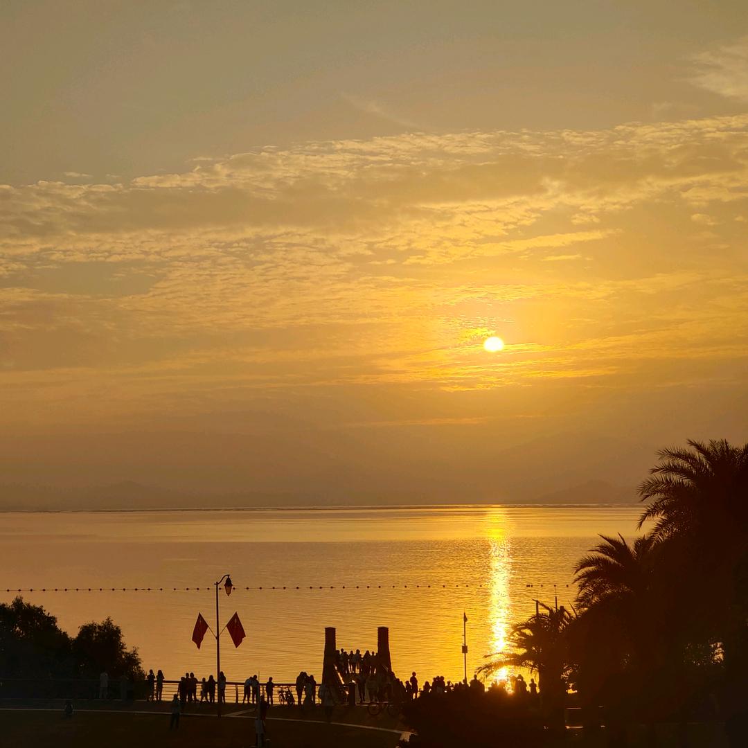 🌇湖北第一内向