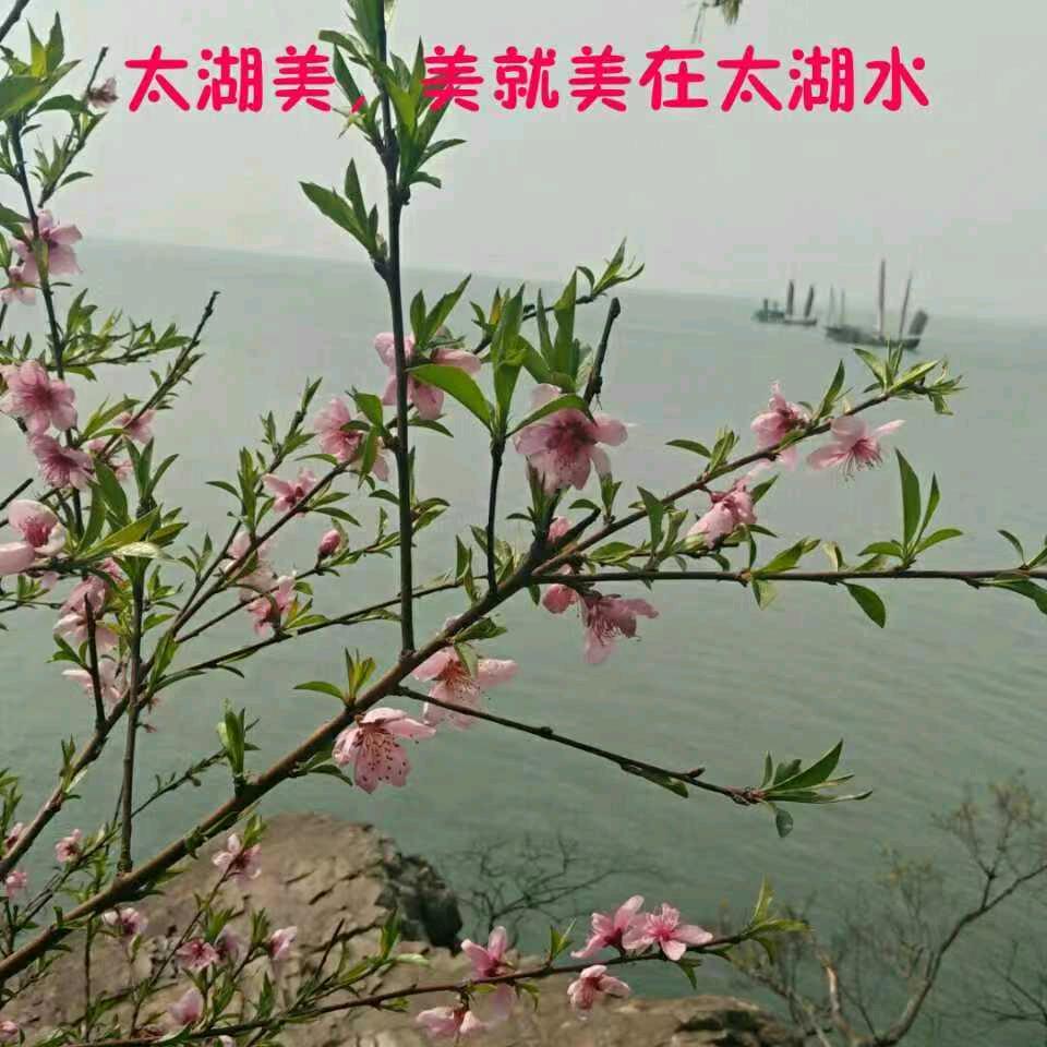 珍惜56981369
