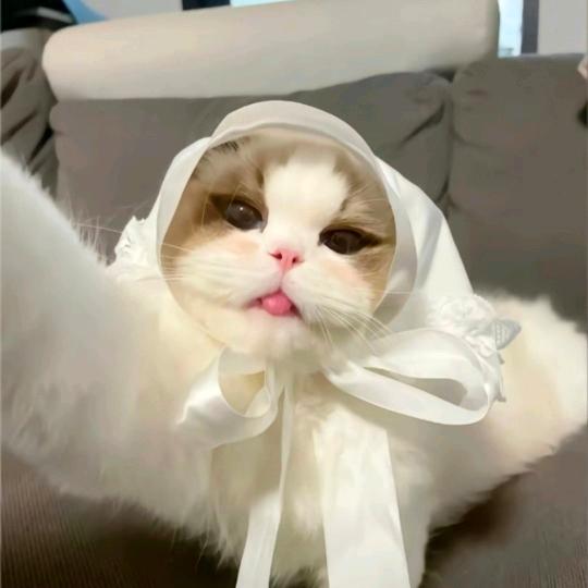 性感周瑜在线点火