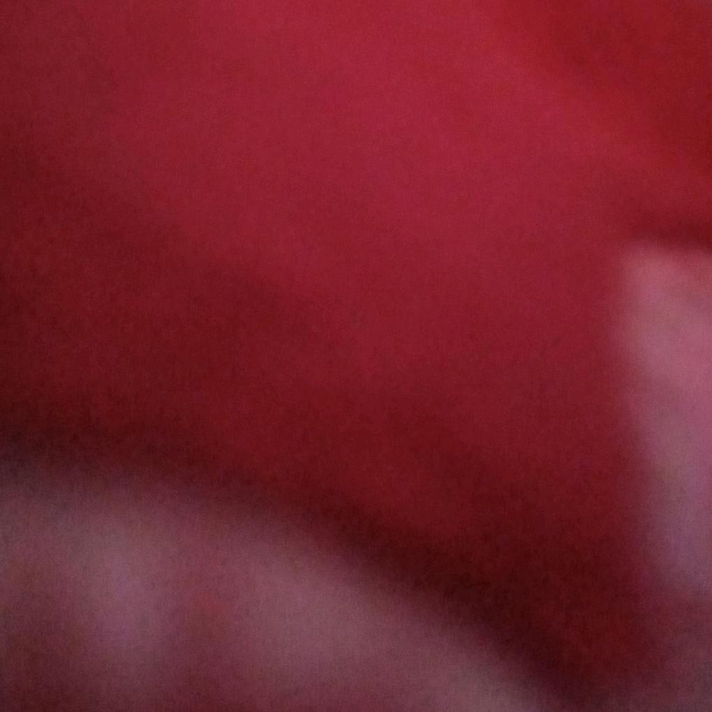 林老林
