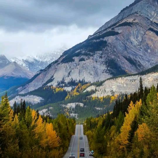 和气生财👀👉