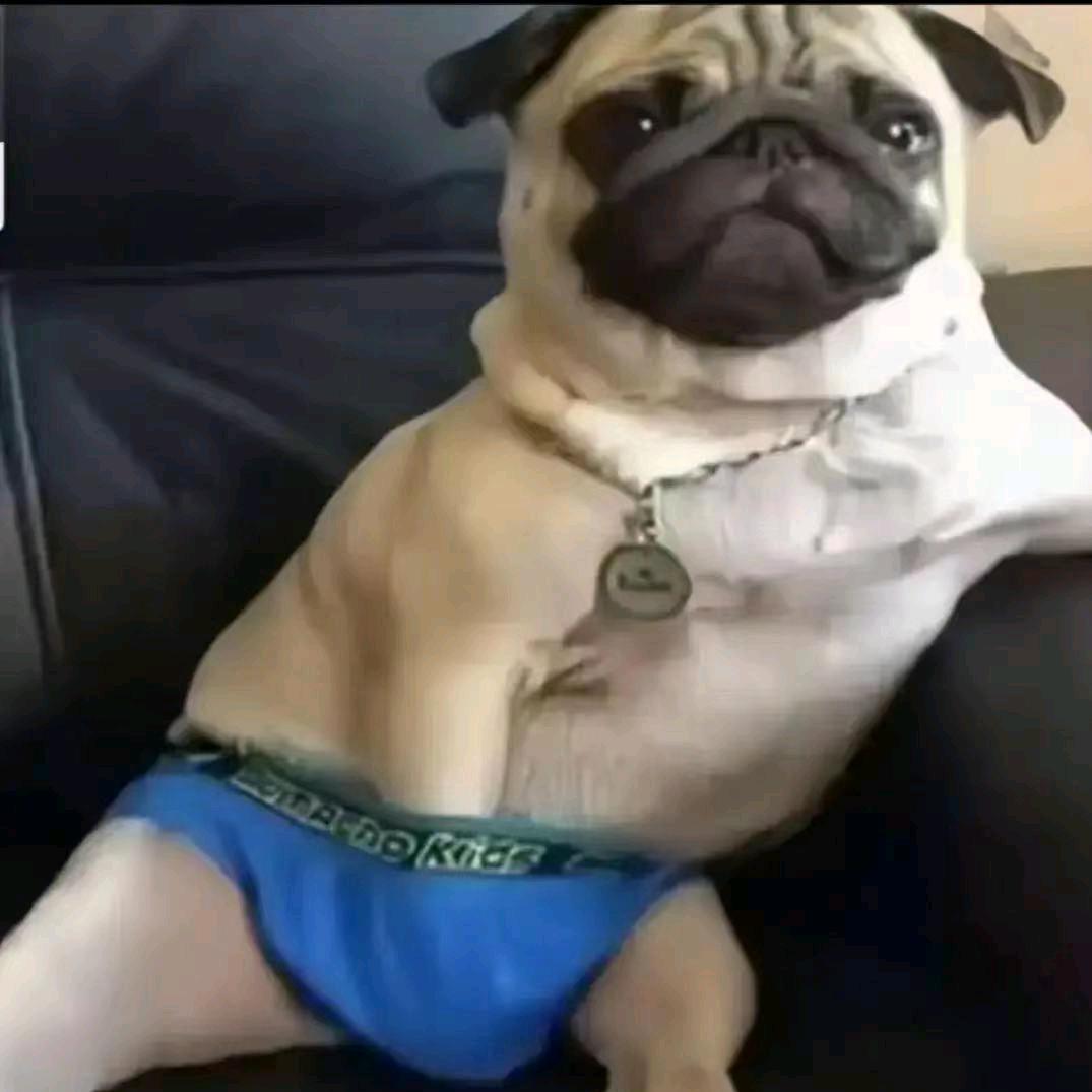 你不懂穷人的快乐