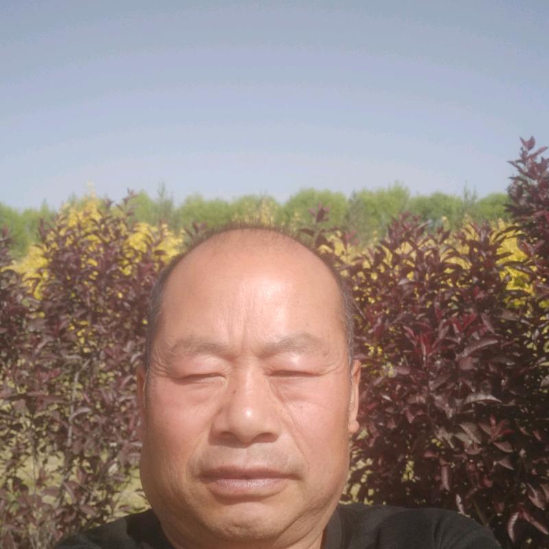 陌上花开生彦
