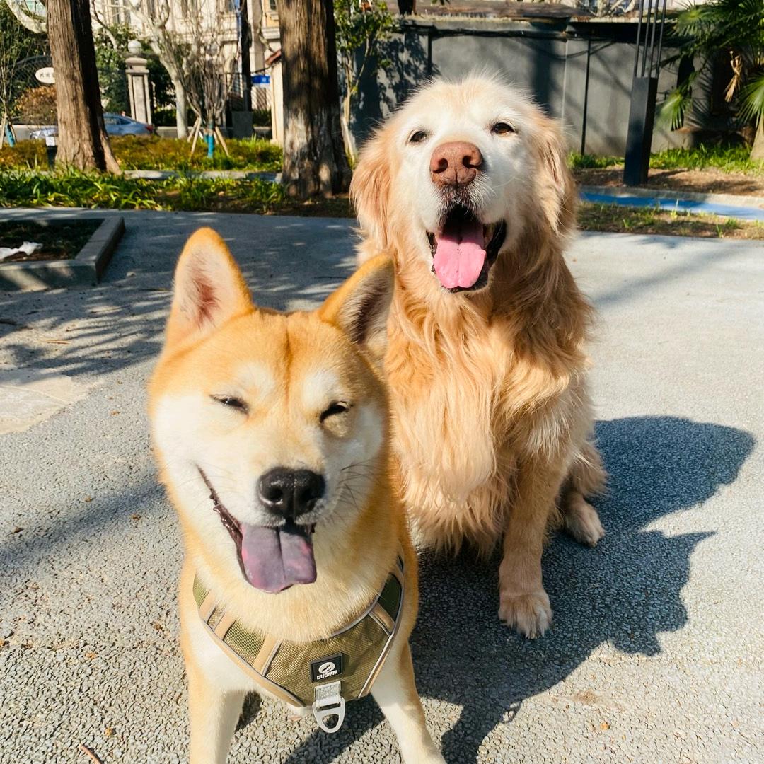 🐾贴贴芸🐾🐩🐩