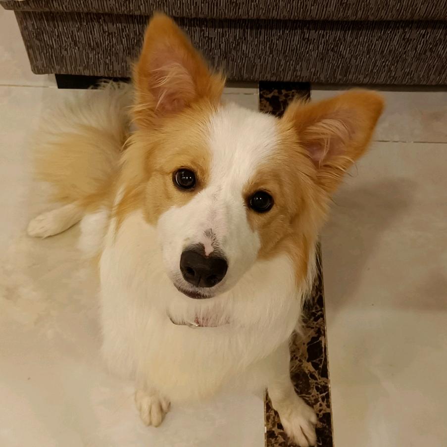 小满麻麻