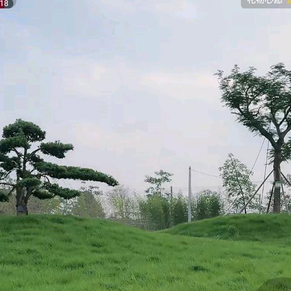 工程小白阿陈