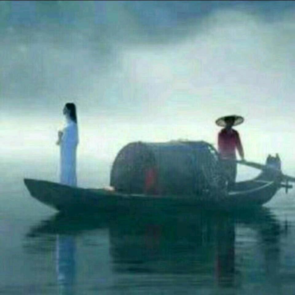 勿忘我🐬