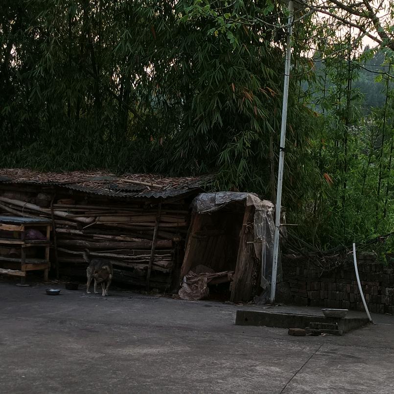 地址：省 市 区 路 小区 号楼 单元