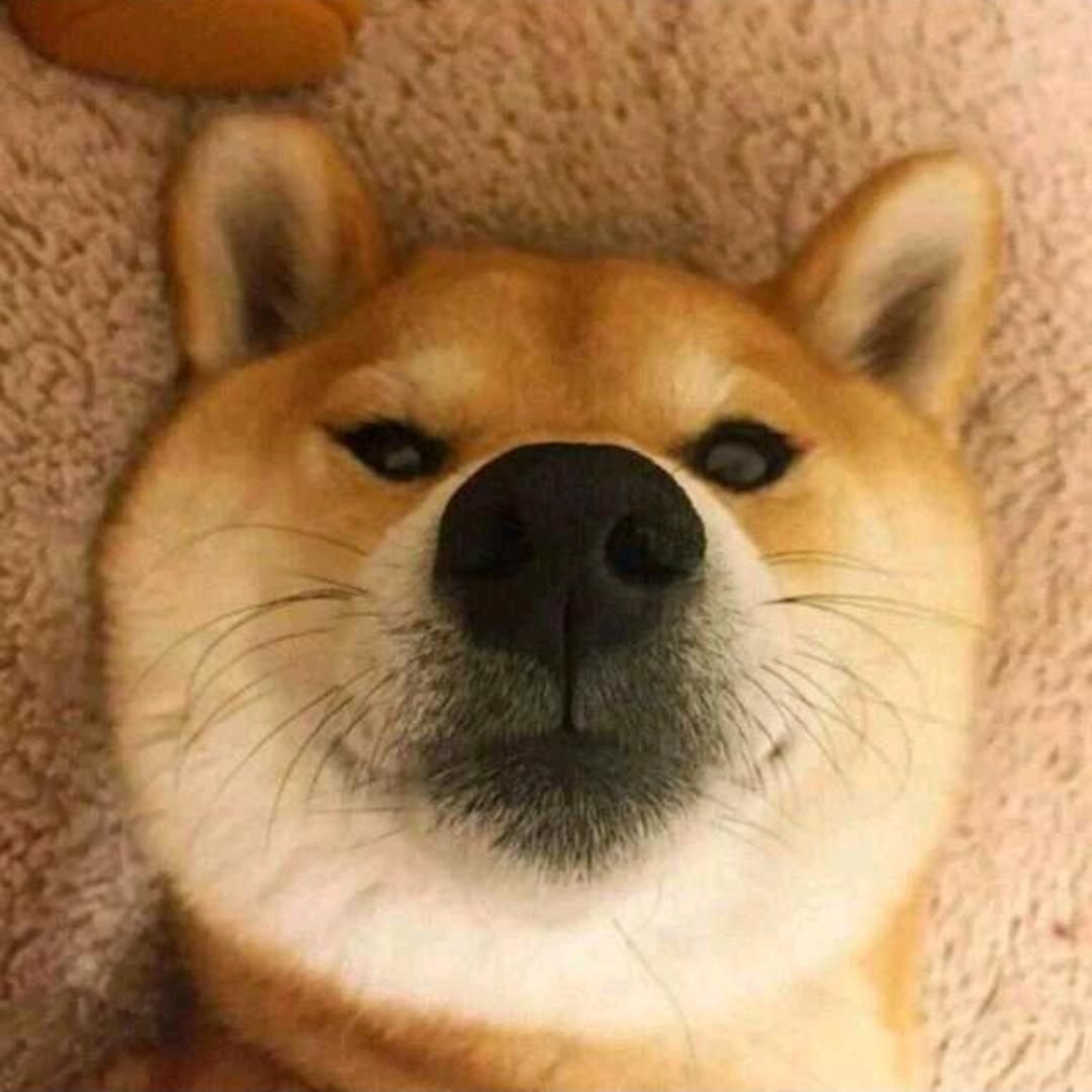 @糖炒栗子
