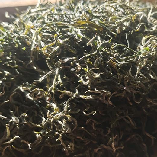 保靖黄金茶小洪