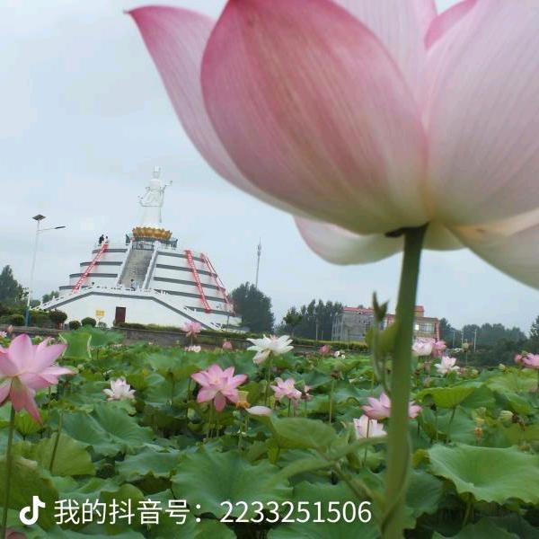 雅洁