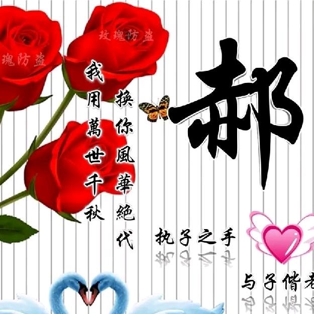 河南小哥