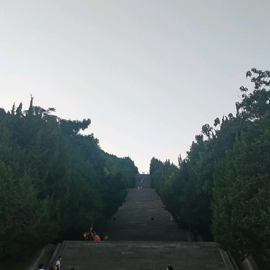 回头浪子