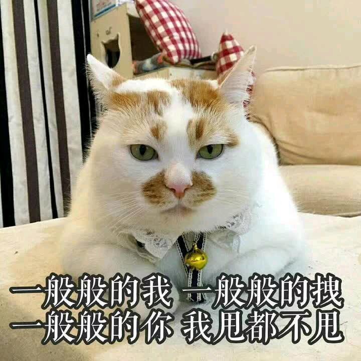 肉搏丶鸡神