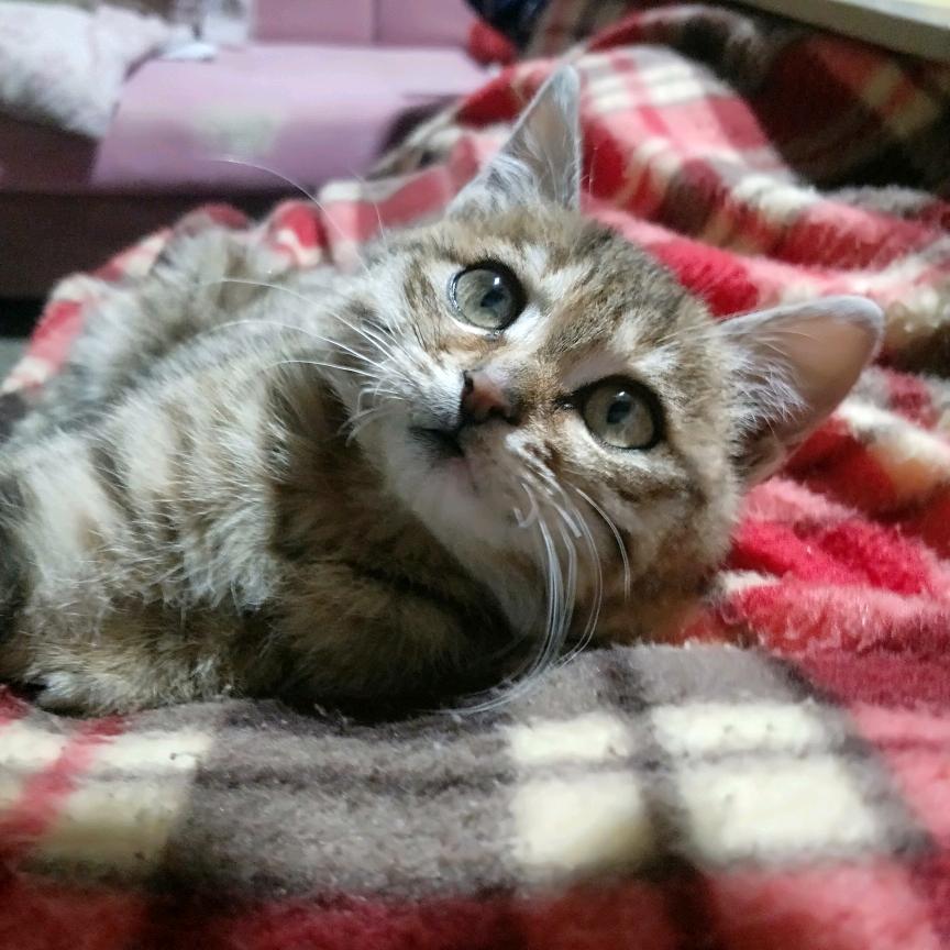 理想很丰满现实很骨感