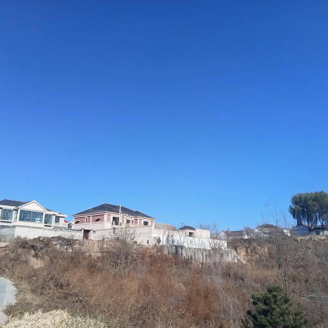 小尹真的帅【悟空互娱】