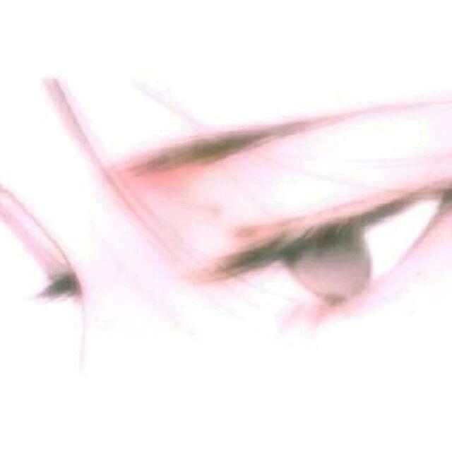 折枝头像