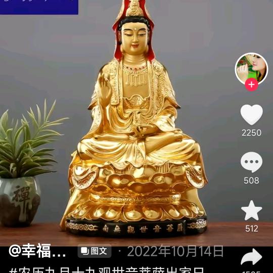释心慧