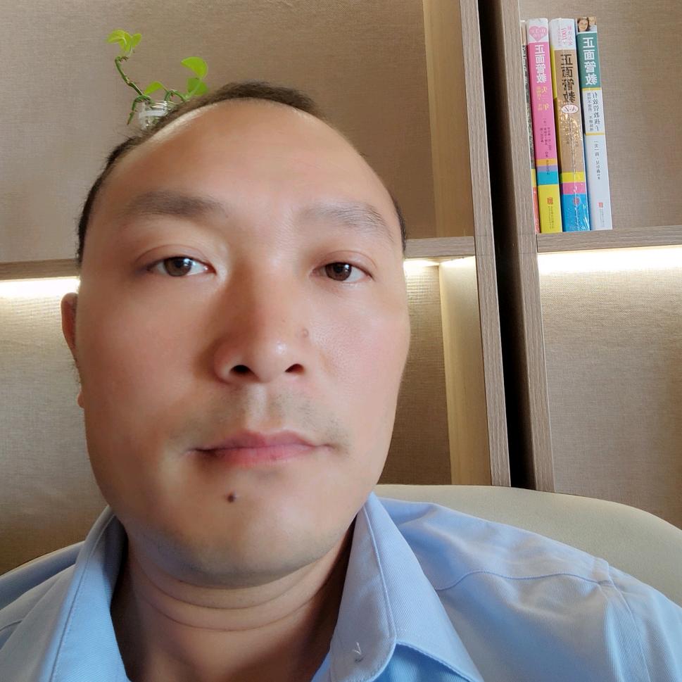 桑植黑猪养殖