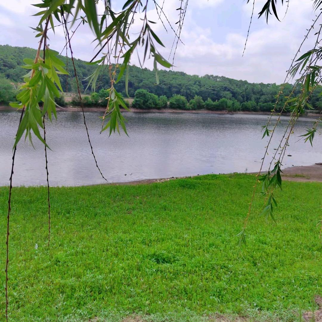 🌈🌈🌈青山绿水🌈🌈🌈