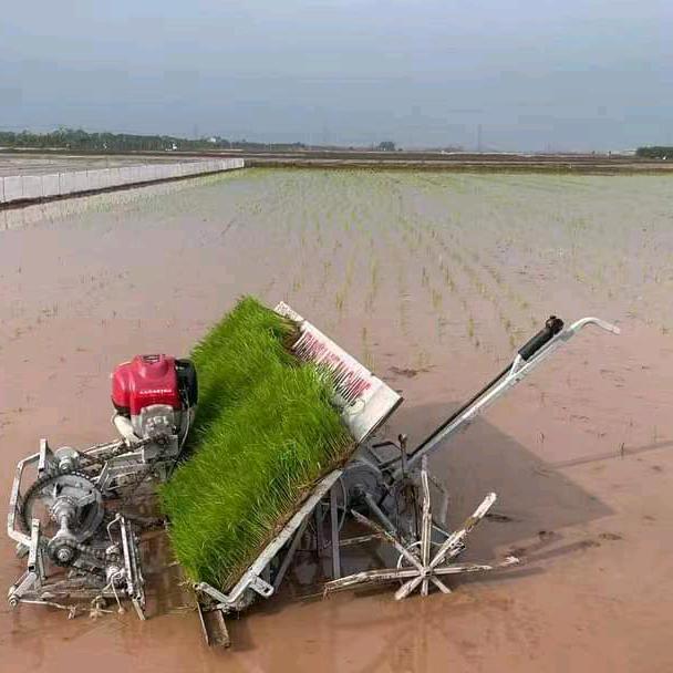 金豆豆机械设备