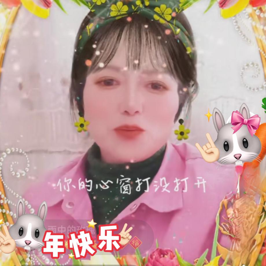 雨中玫瑰一枝花🌹🌹🌹