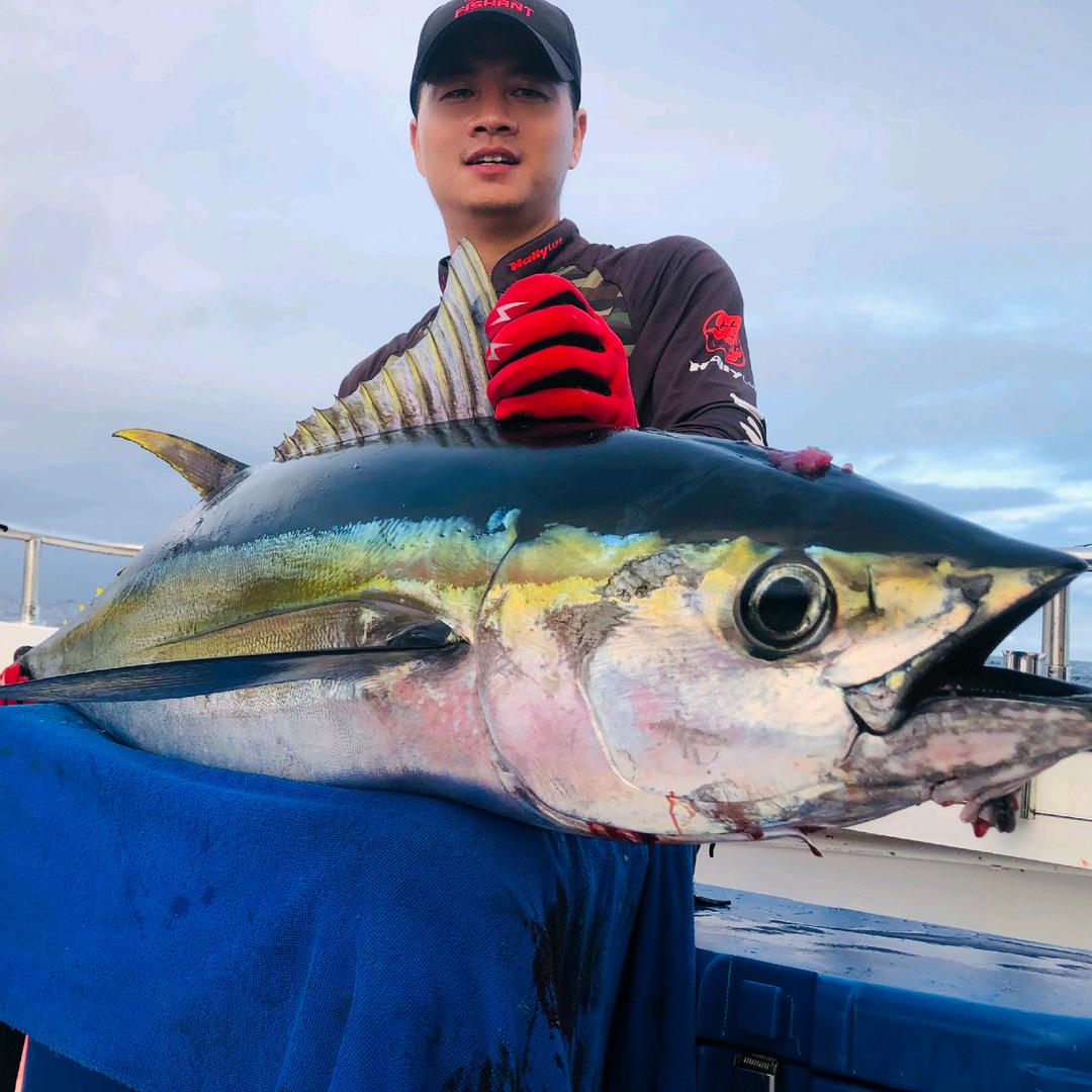 A+ Fishing ‖ 阿佳