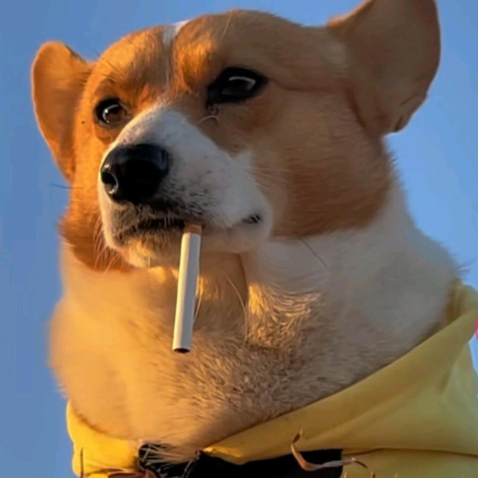 陈poop