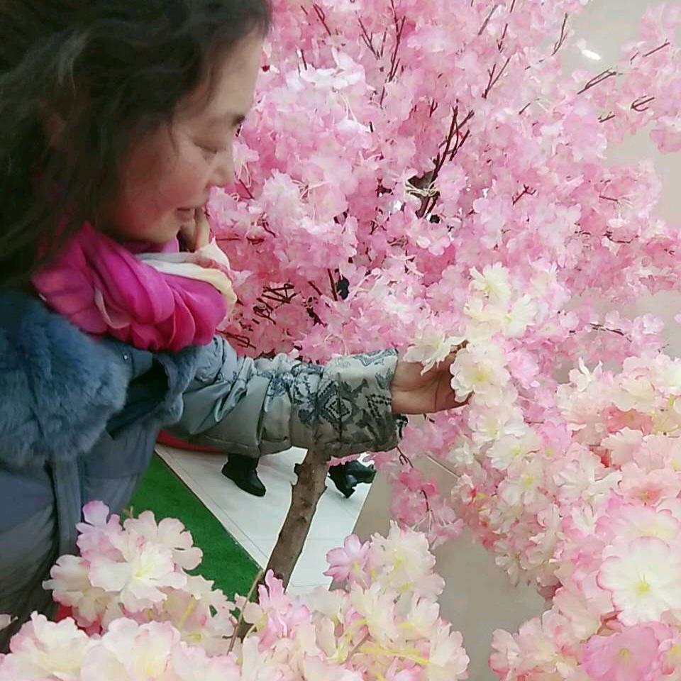 联华果菜