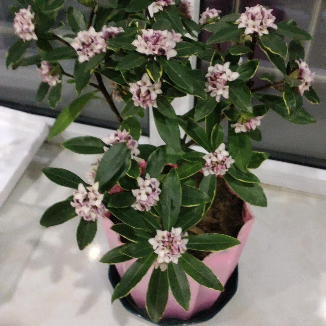 时间不停我不停