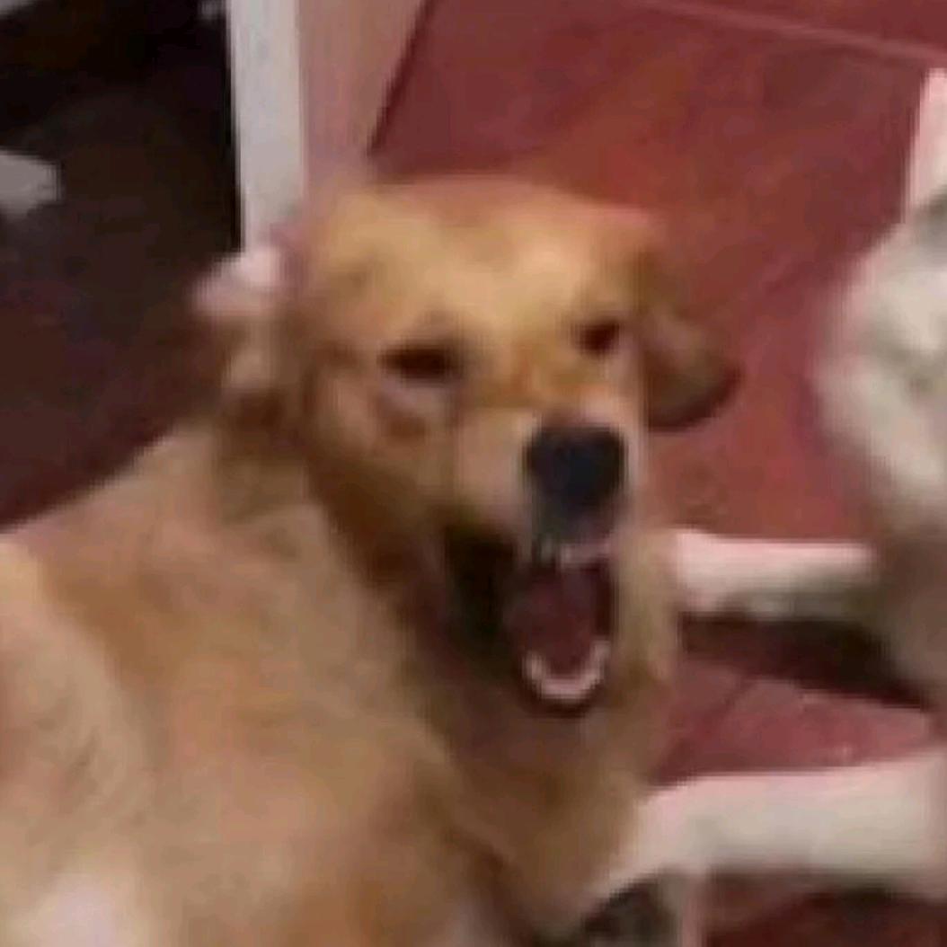 你才是小卡啦咪