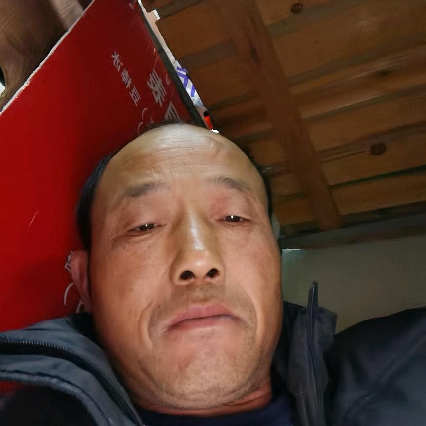 郑他一个乙