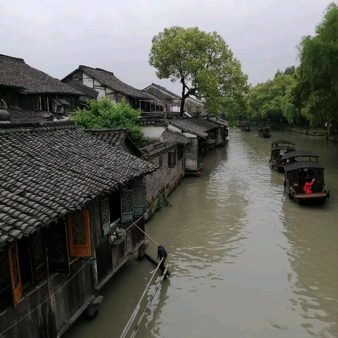 淡然于怀