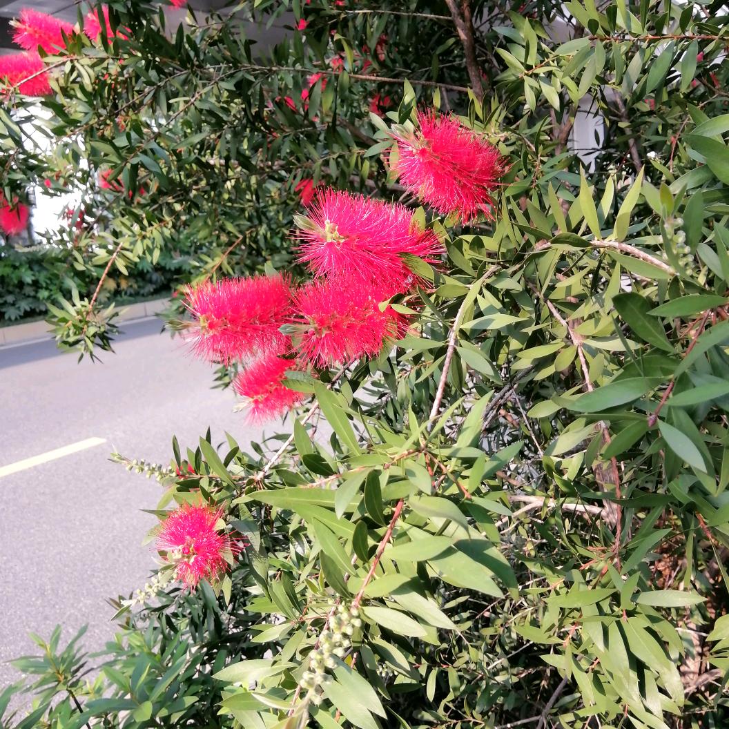 好好爱自己