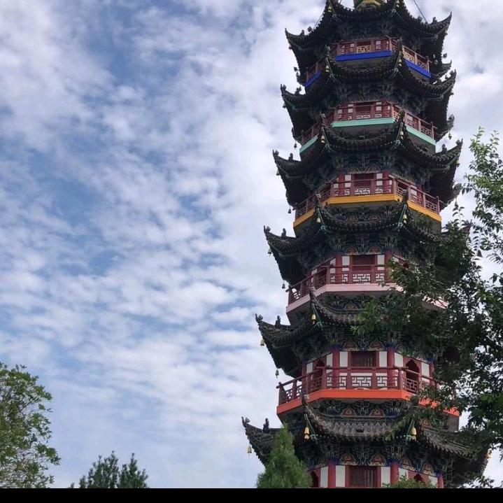 望留香烧饼刘少红