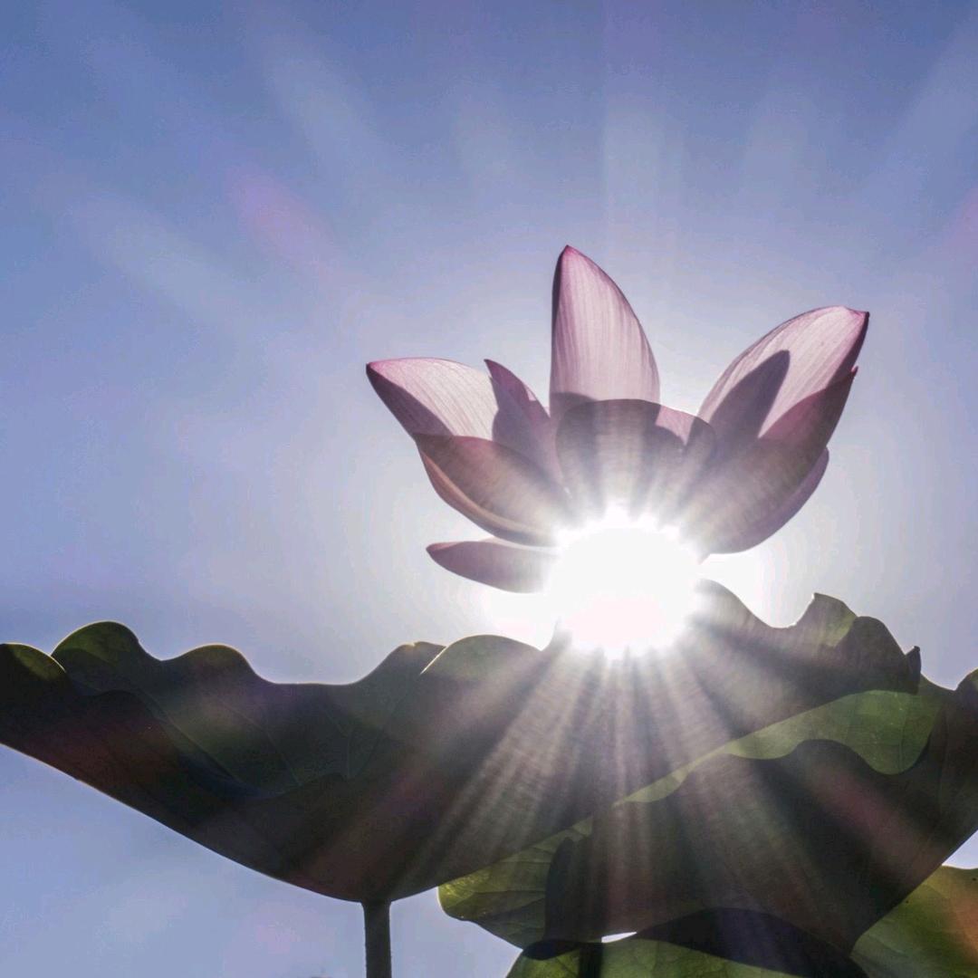 @哥的脾气有点爆