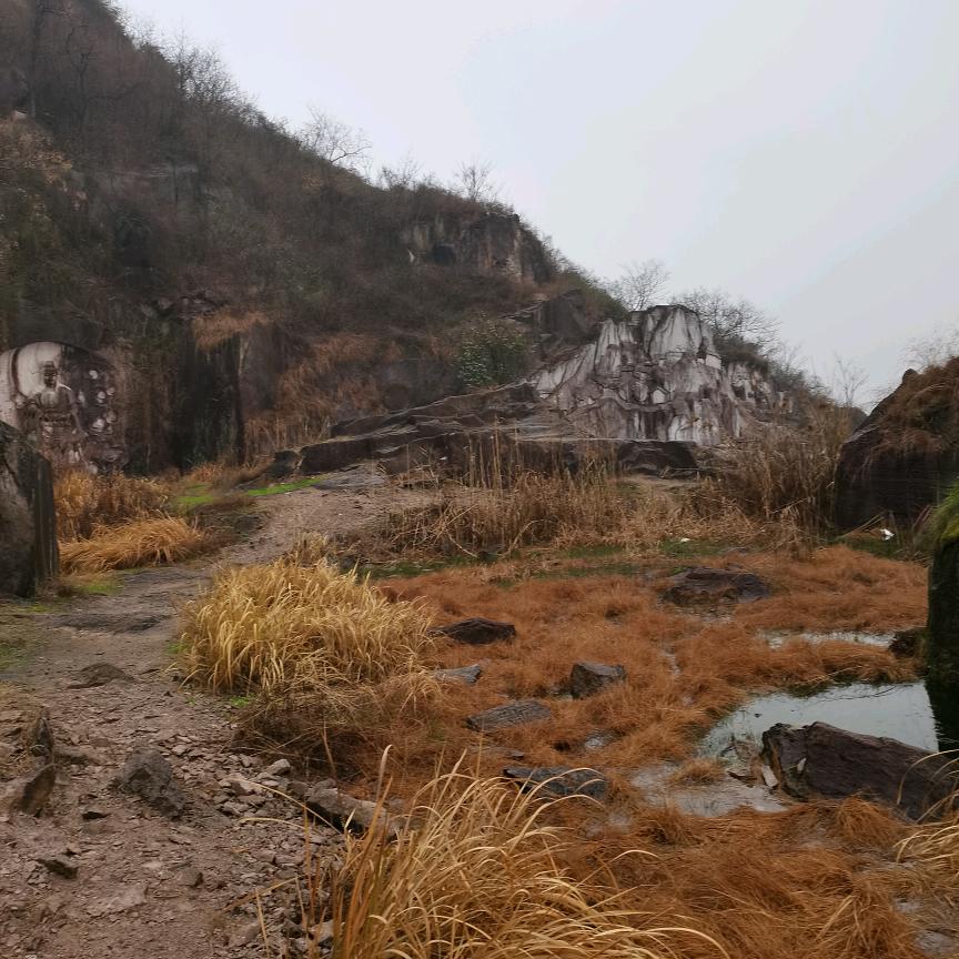 宋新杰