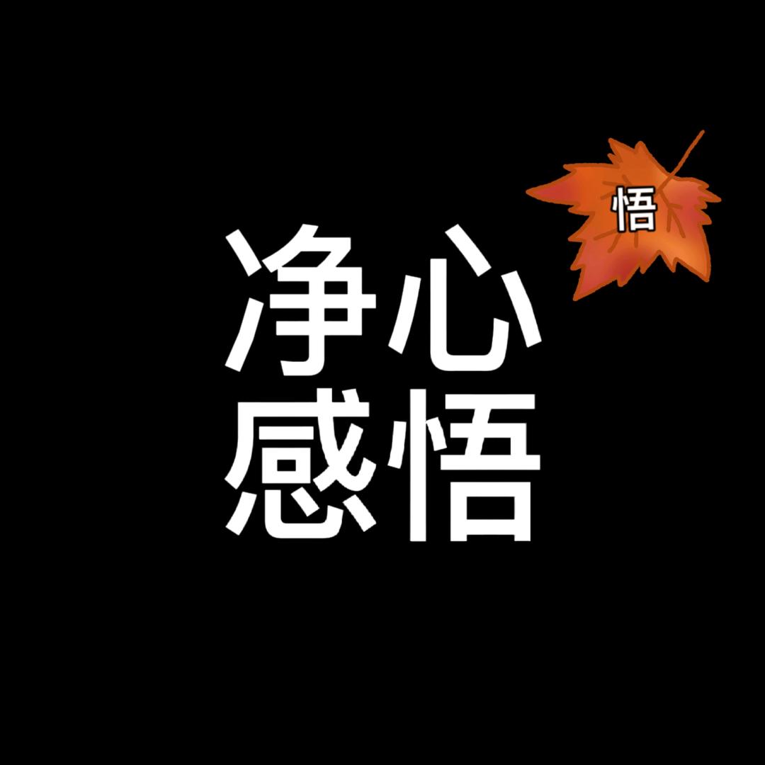 净心感悟