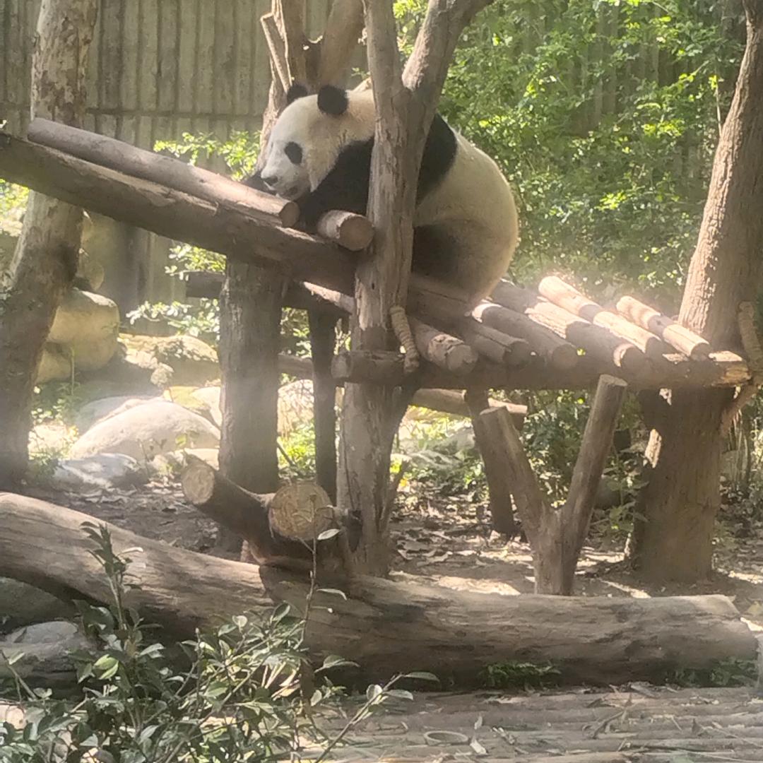 狠狠爱自己，